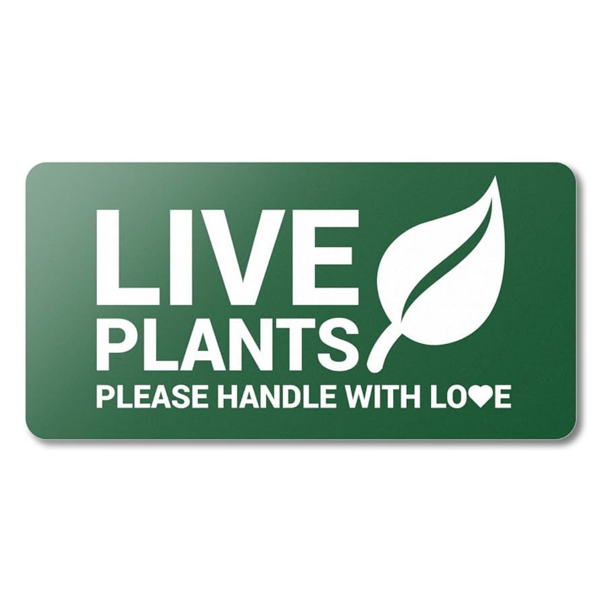 Complete Guide to Plant Care Labels: Printable Solutions, Free Templates, and Professional Tags