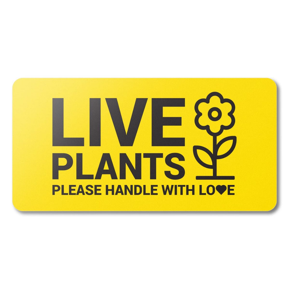 Complete Guide to Plant Care Labels: Printable Solutions, Free Templates, and Professional Tags