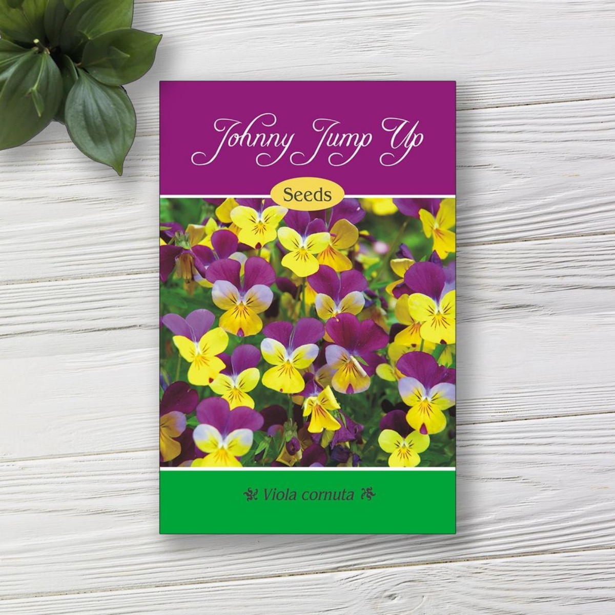 The Ultimate Guide to Seed Packet Labels: Templates, Printables, and Customization