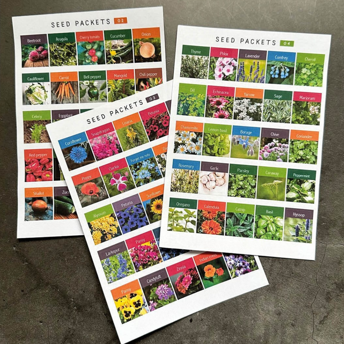 All About Seed Packet Stickers: Printable, DIY, and Expert Insights